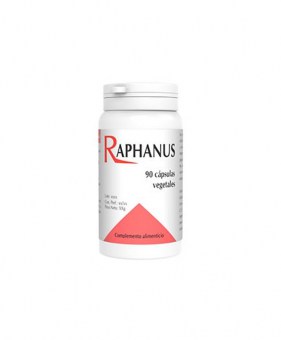 RAPHANUS