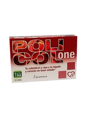 POLICOL ONE